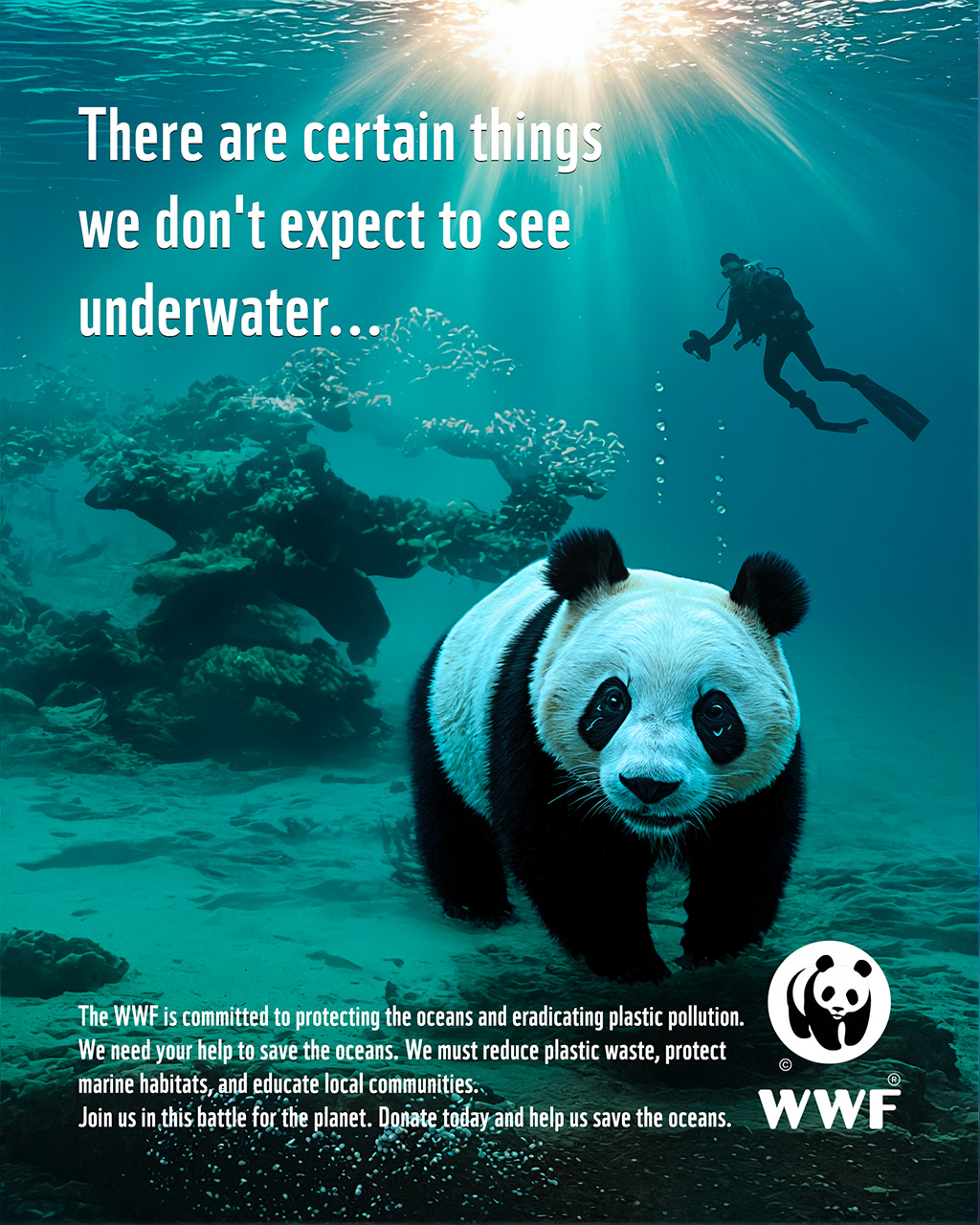 Image d'affiche WWF
